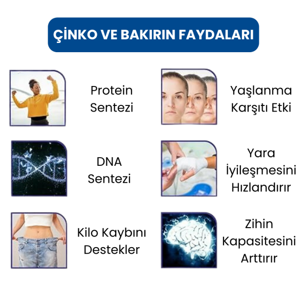 Hidrotek EA Water pH 9 Alkali Çinko ve Bakır Mineralli Su Filtresi